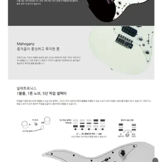 데임 익시드 200 슈퍼스트랫 일렉기타