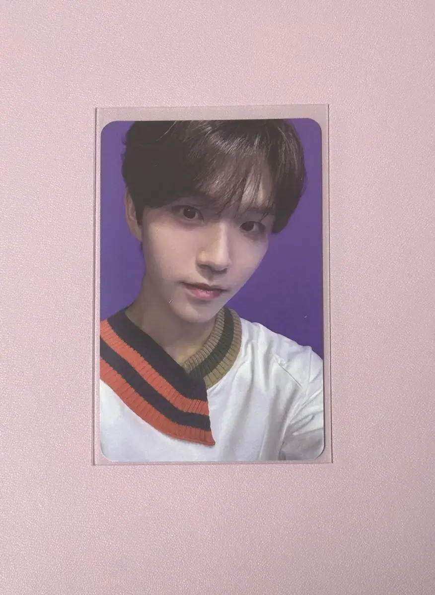 nct wish jaehee smini photocard wts