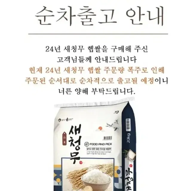 새청무 특등급 24년햅쌀 20KGX4포총80KG개인결제창