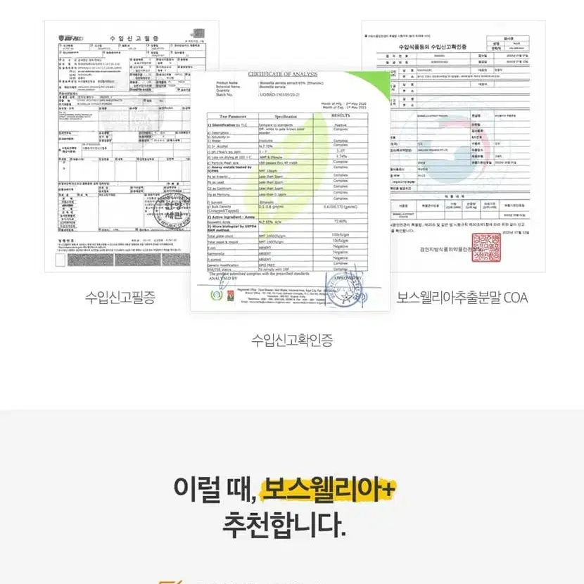 [1+1] 8배 고농축 보스웰리아 총 120일분