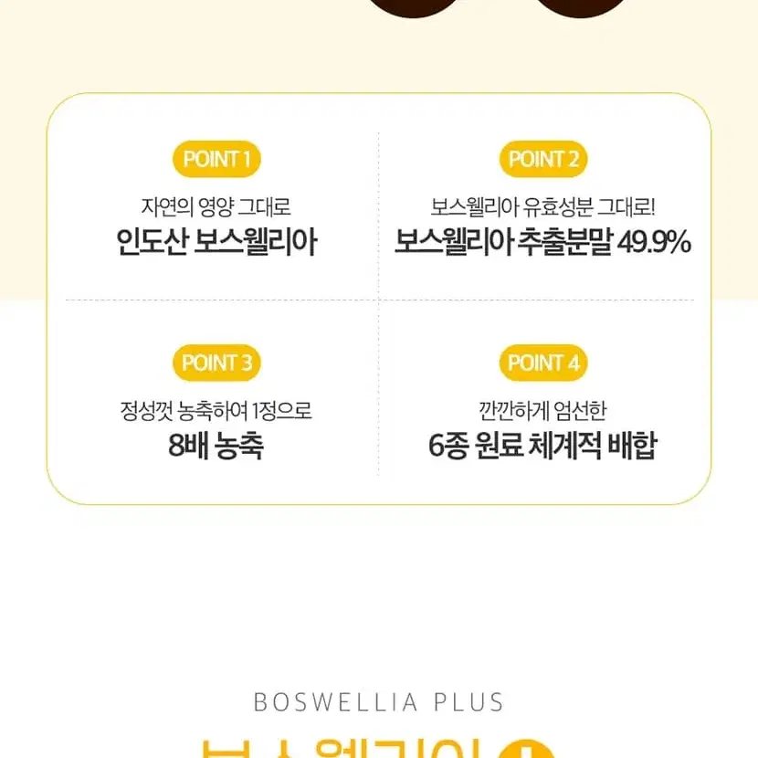 [1+1] 8배 고농축 보스웰리아 총 120일분