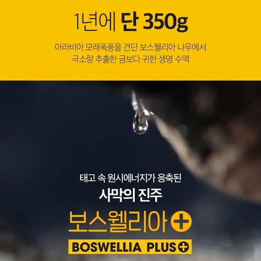 [1+1] 8배 고농축 보스웰리아 총 120일분