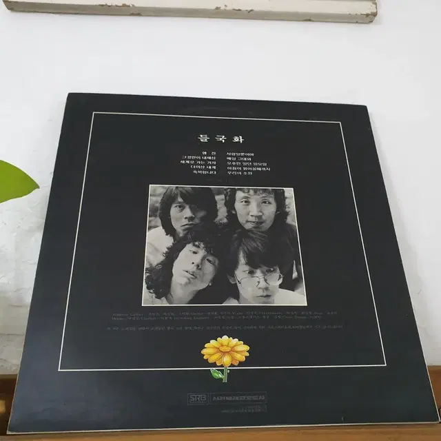 들국화1집 LP  1985초반  (한국대중음악100대명반)