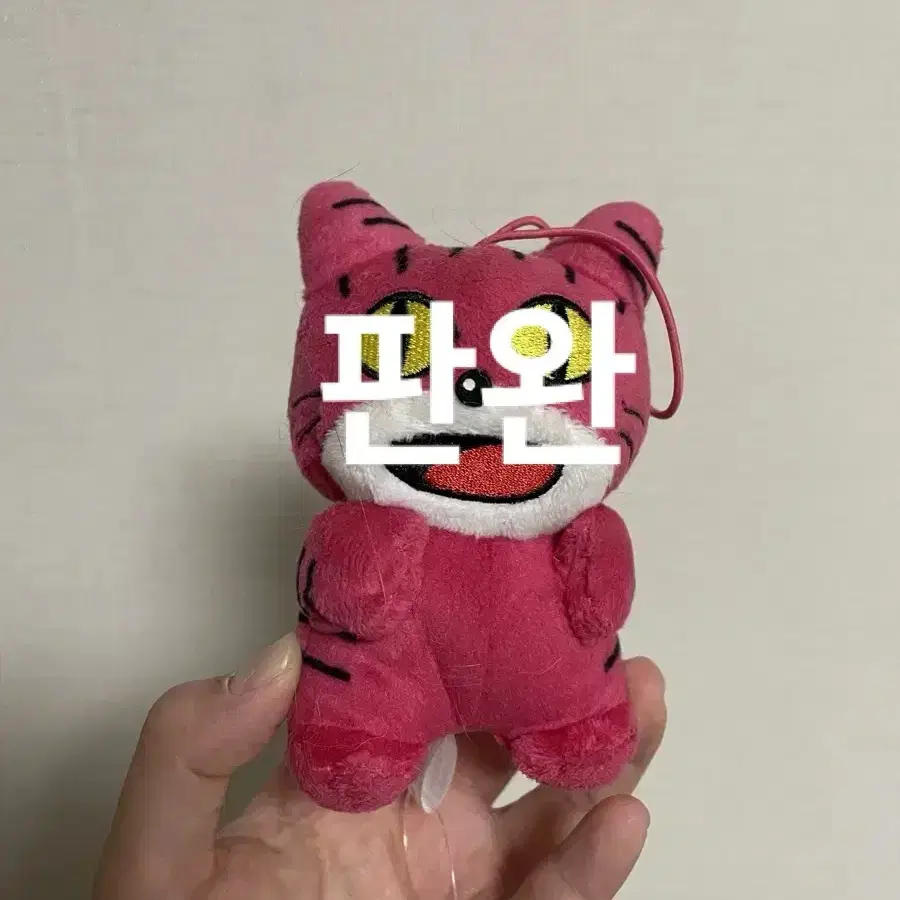 타베코 도부츠 고양이 인형 판매