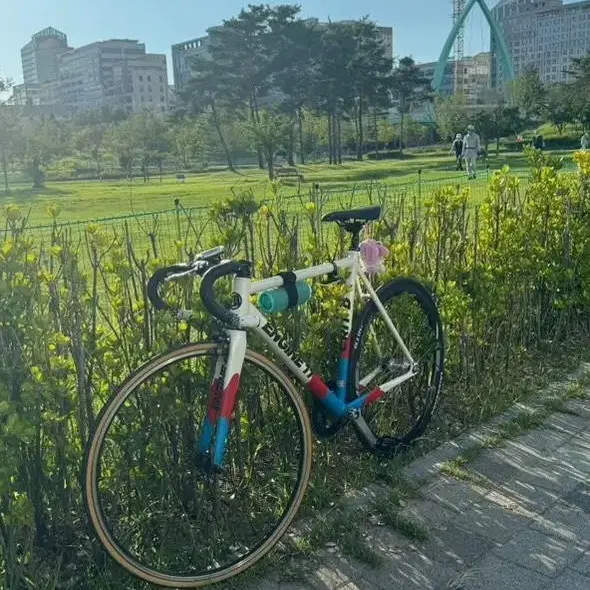 엔진11 크릿디 대한민국 에디션(로드 대차 봅니다)