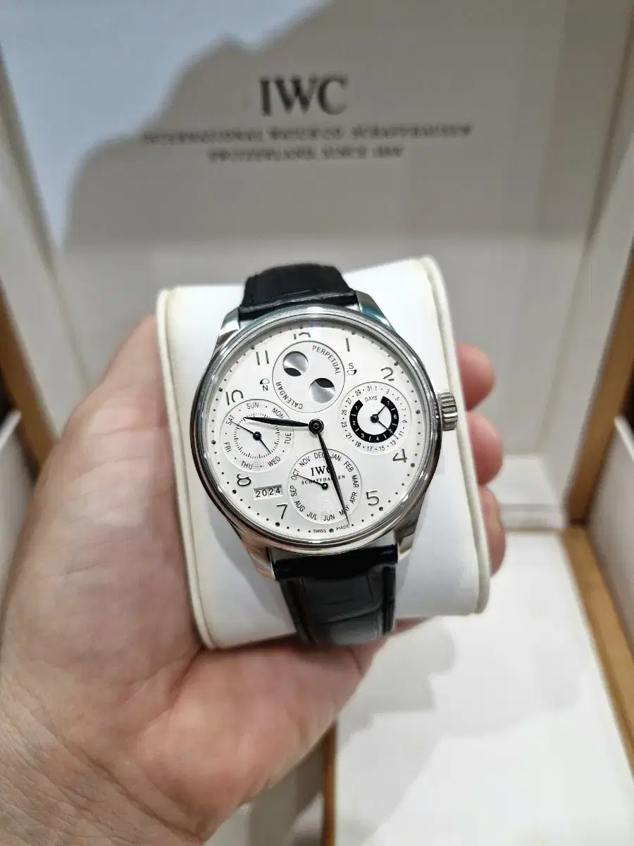 IWC 포르투기즈 퍼페츄얼 캘린더 PT 전세계 250개 한정판