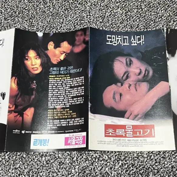 영화 초록물고기(1997) 전단지