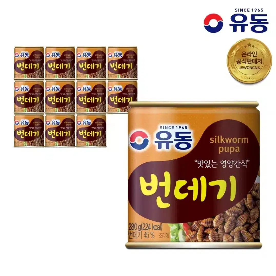 유동 번데기 280g 12캔