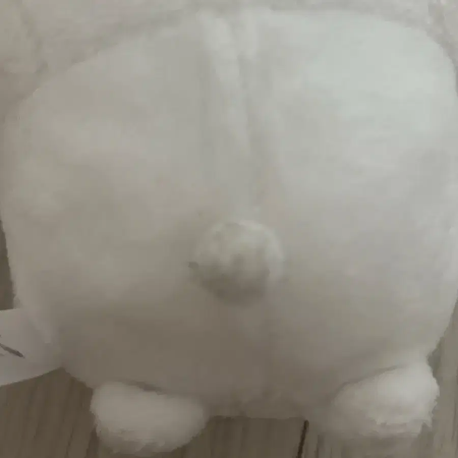 초밥곰 농담곰 초밥