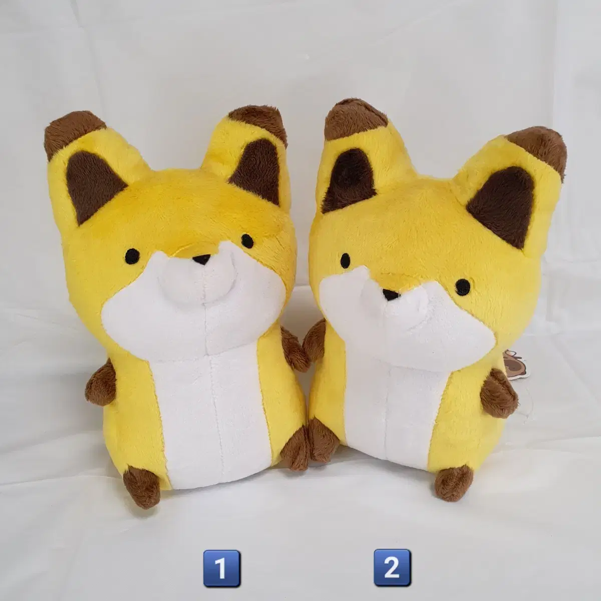 Tanukito kitsune animal fox mascot with raccoon and fox doll Nui