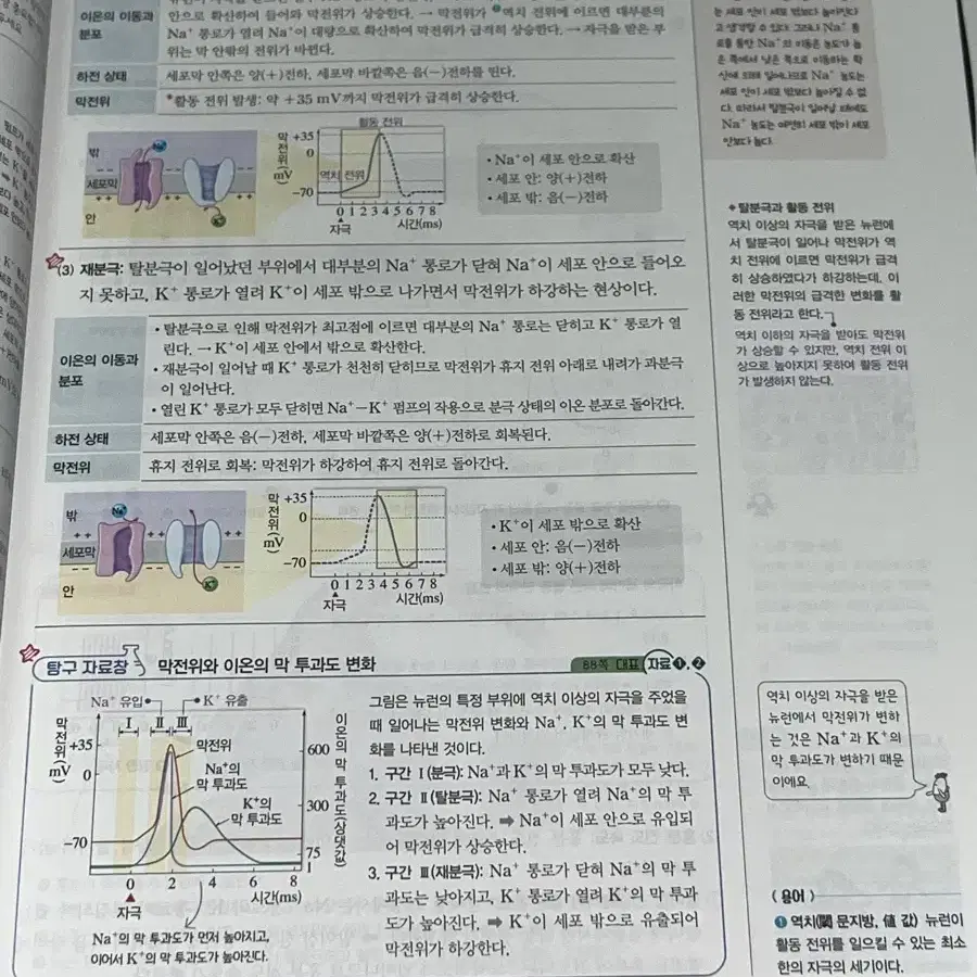 완자 생명과학1