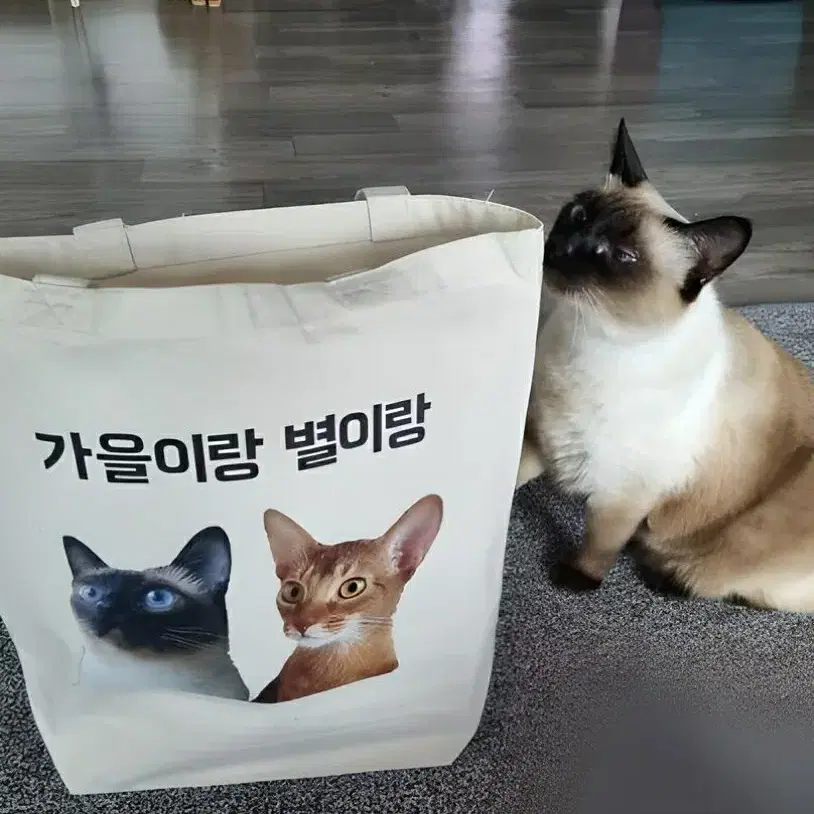 기부 캠페인 나만의 에코백 만들기