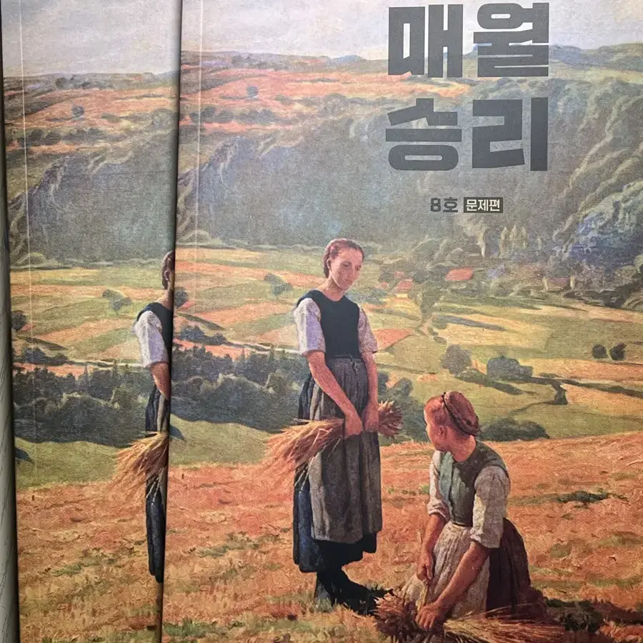 매월승리 8호 문제집, 해설