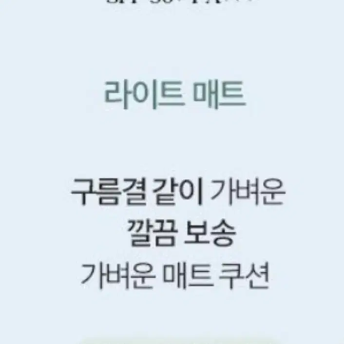 클리오 킬 커버 스킨 픽서 쿠션