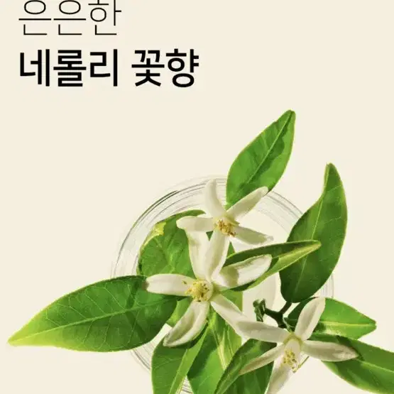 미개봉 새상품 심플리오 벨벳소프트 핸드크림