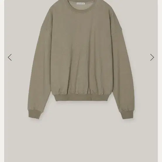 Ofc Washed Sweatshirt (beige)