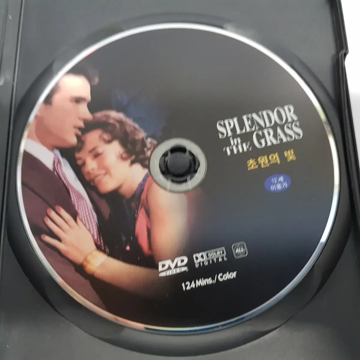 초원의 빛 1961년 제작 DVD