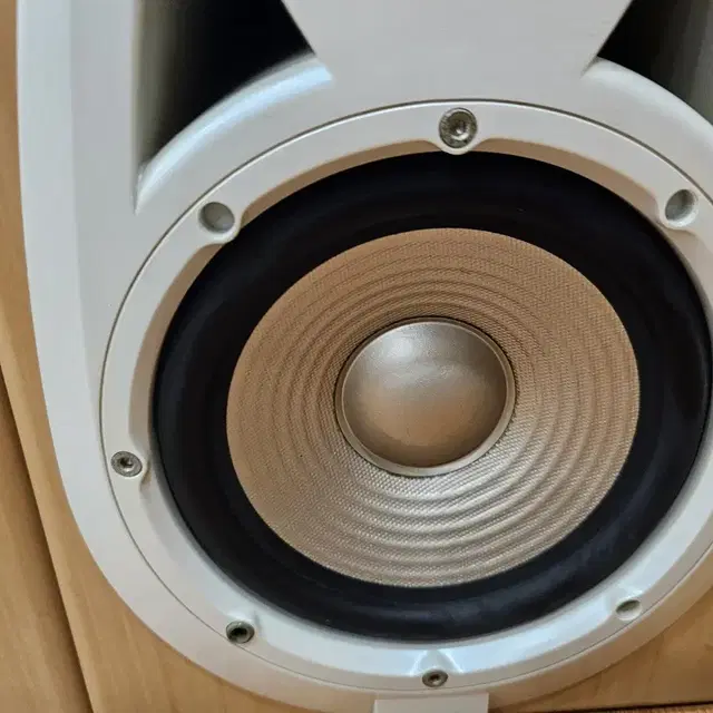 명품스피커/JBL FE-2020