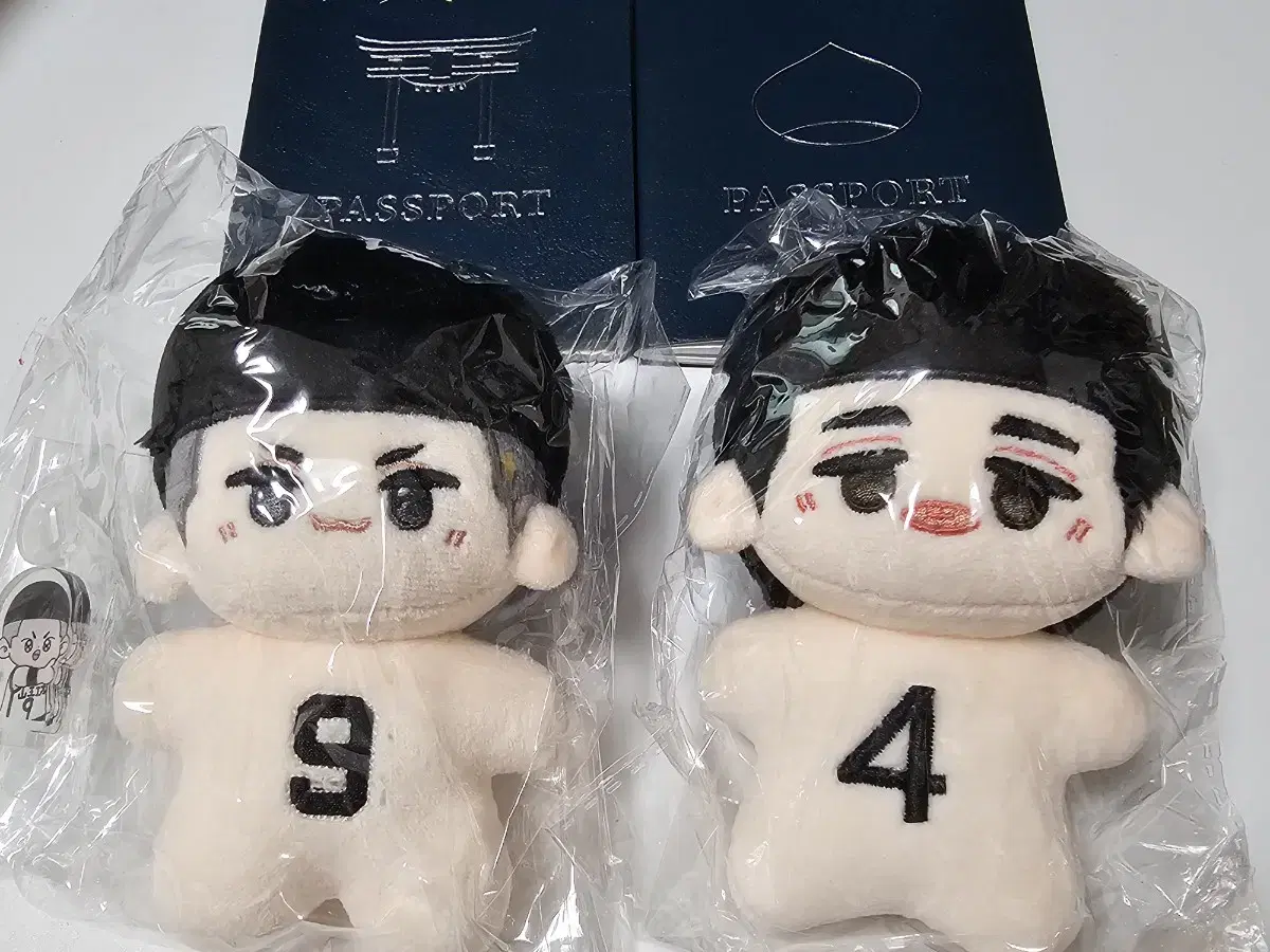 SLAM DUNK jung woosung Lee Myung Hun dolls