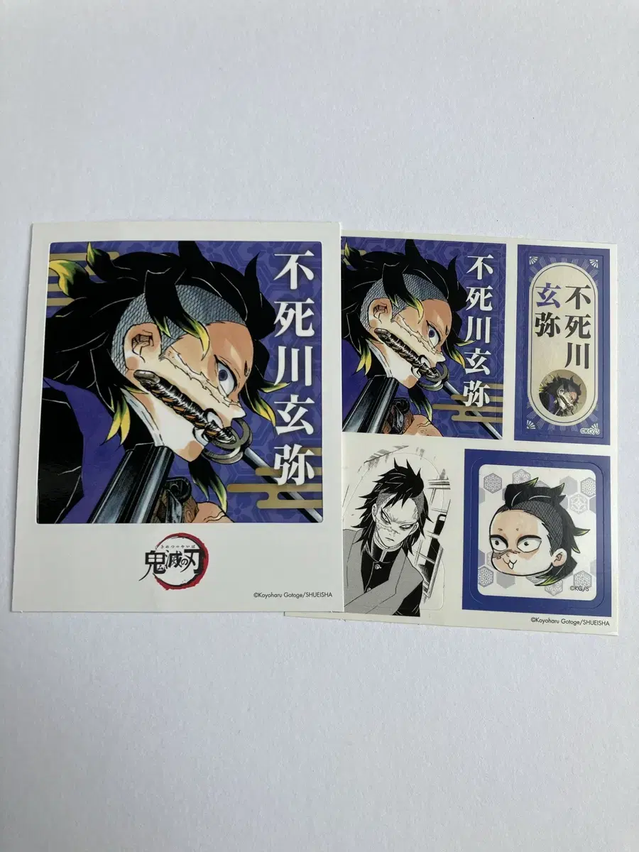 Demon Slayer Shinazugawa Genya Kard +Stickers