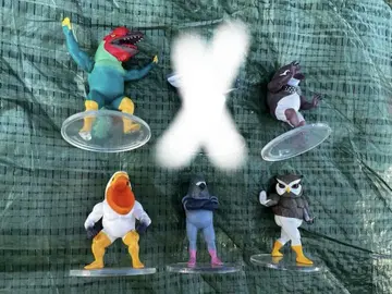가팀치 버드