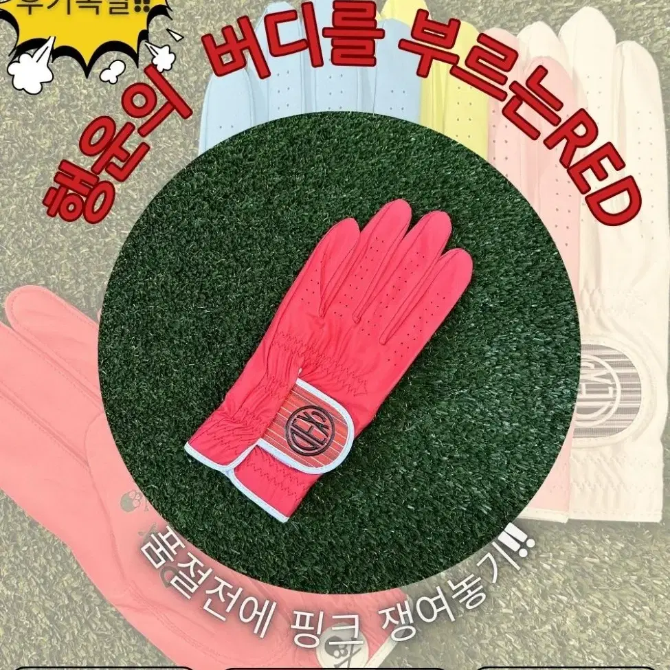 DEX컬러골프장갑 1+1이벤트 배송비포함 11,000원