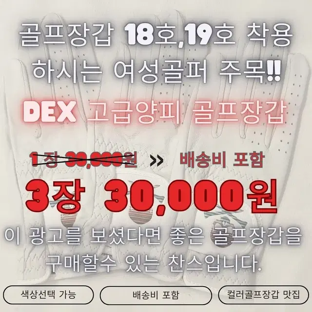 DEX컬러골프장갑 1+1이벤트 배송비포함 11,000원