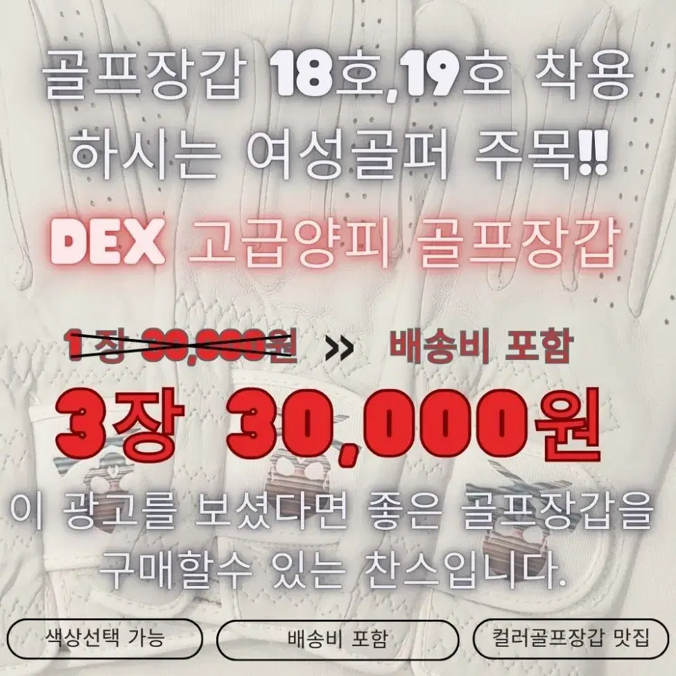 DEX컬러골프장갑 1+1이벤트 배송비포함 11,000원