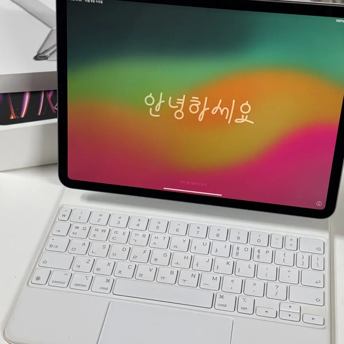 아이패드프로 11인치 m2 스그 128g wifi