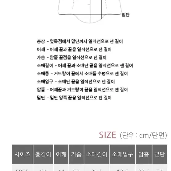 베니토 메르 스판 데일리 핀턱 7부 블라우스