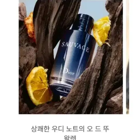 17.6만Dior디올정품 소바쥬 오 드 뚜왈렛 향수100ml(준새상품)