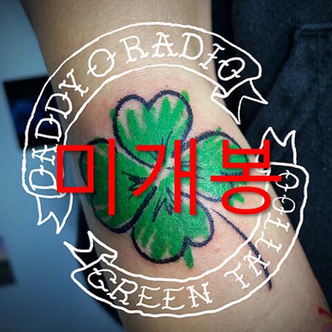 데디오레디오 - GREEN TATOO (미개봉, CD)