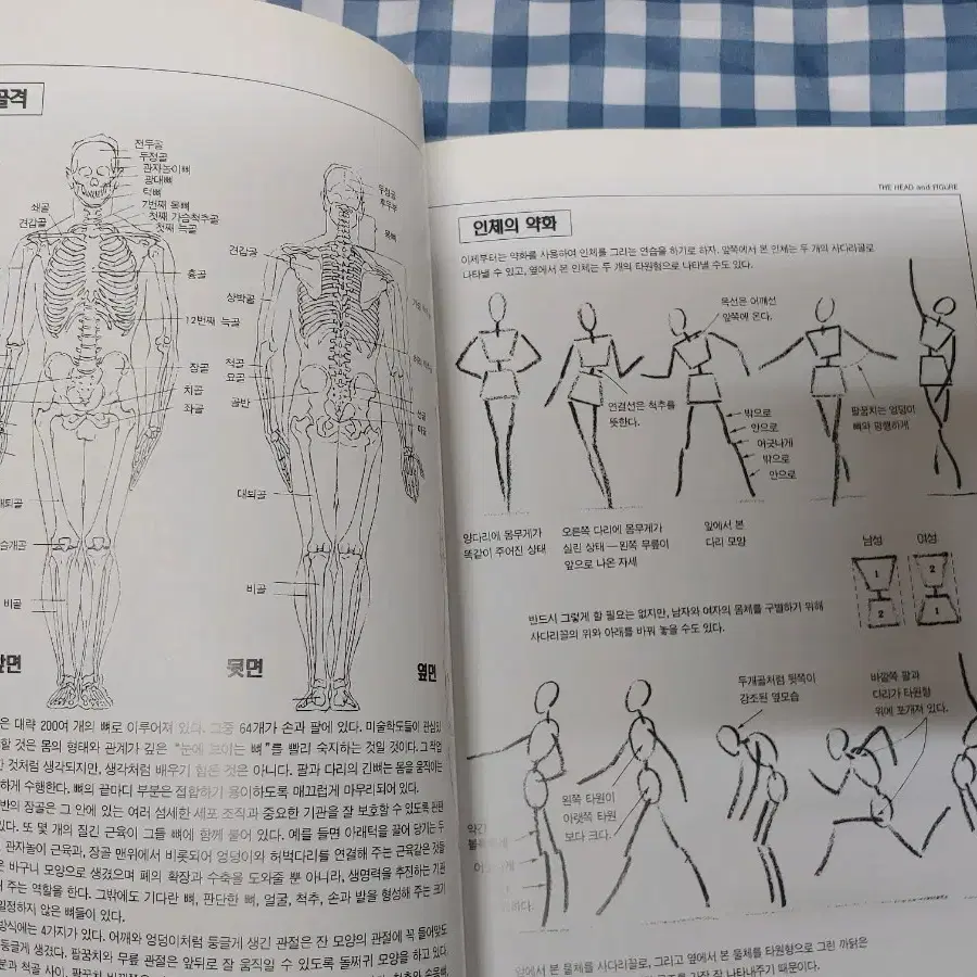 잭햄 인체드로잉 해법