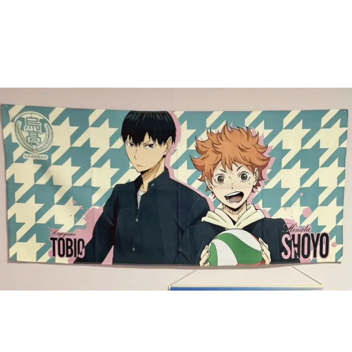 Haikyuu Classic Fabric Poster Kageyama hinata Karasuno Lookup Acrylic Nui