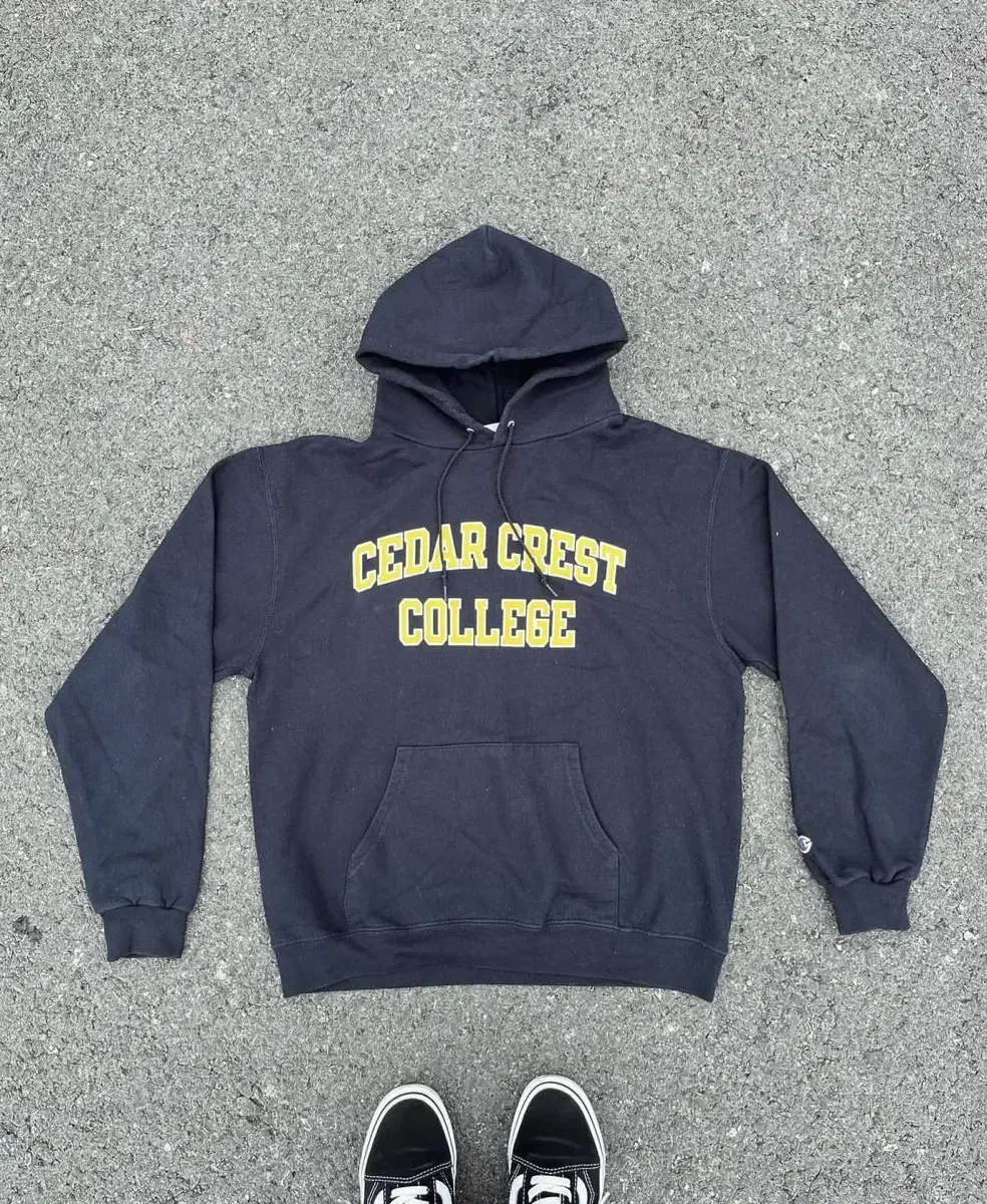 Old Champion college hoodie