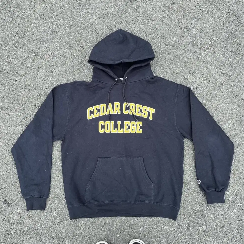 Old Champion college hoodie