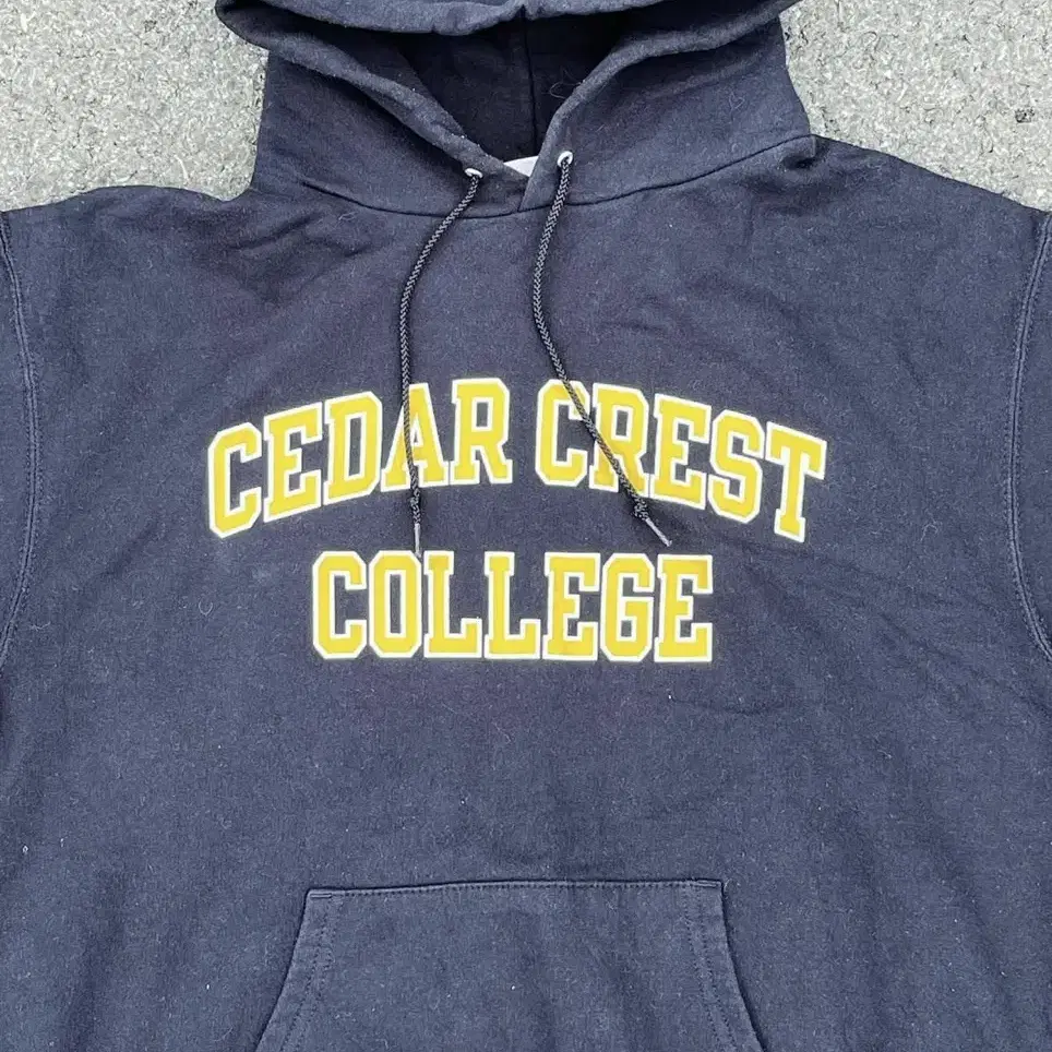 Old Champion college hoodie