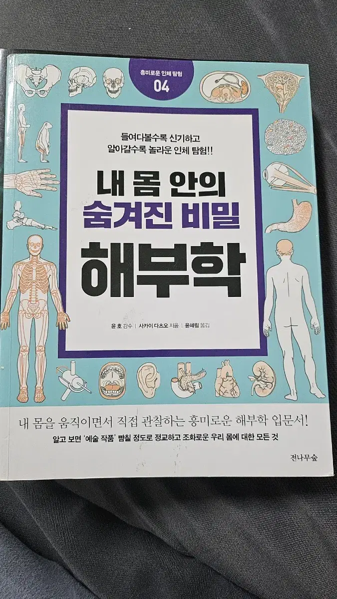 내 몸안의 숨겨진 비밀 해부학 책