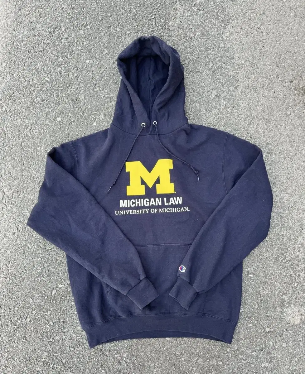 Old Champion college hoodie