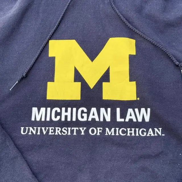 Old Champion college hoodie