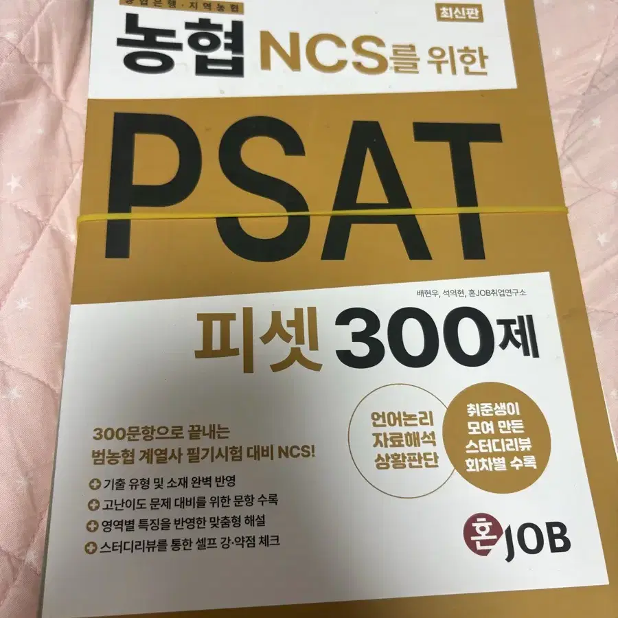 혼잡 농협 ncs를 위한 피셋 psat 300제 (농피셋) 필기없는 책