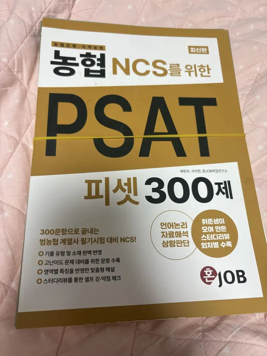 혼잡 농협 ncs를 위한 피셋 psat 300제 (농피셋) 필기없는 책