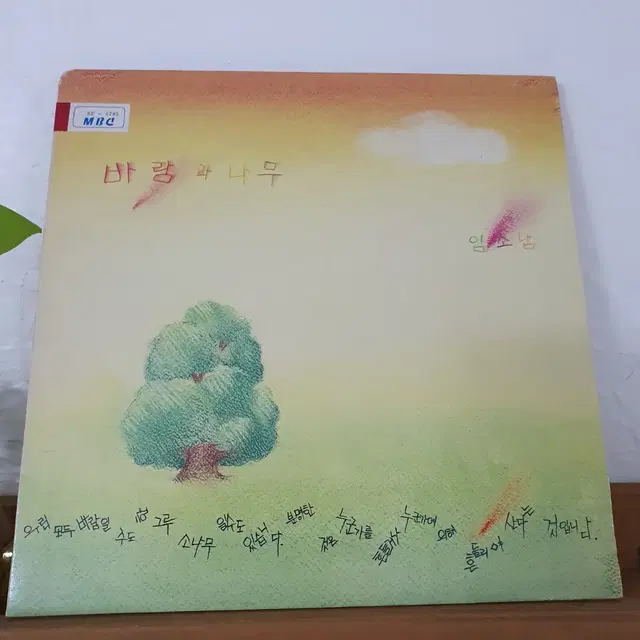 바람과나무 LP  1990   귀한음반