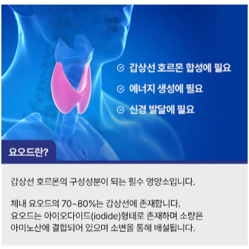 영진약품 영플랜 갑상선 호르몬건강 요오드 2400 60정