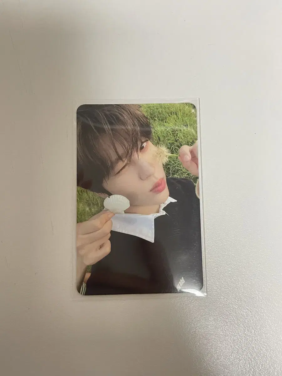 NCT wish Steady pop up Version A tc sion Cellpo photocard WTS