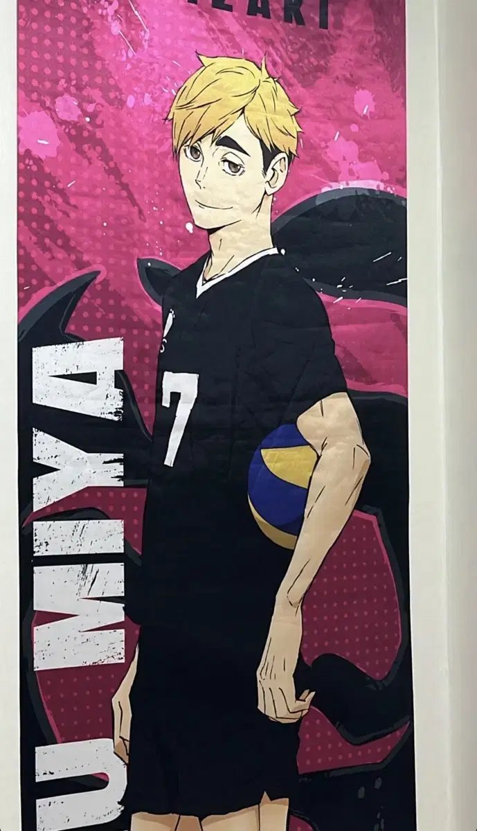 Haikyuu Miya Atsumu Full Body 2M Tapestry