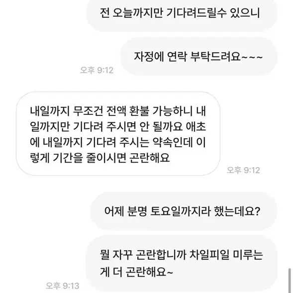 공론화:) 쵸비츠 피규어 구매자분들 ixei님 조심하세요