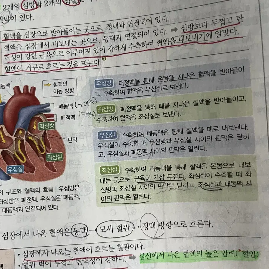 플레이 오프4차전 삼성대엘지 2연석자리 양도 구해요 ㅠㅠ