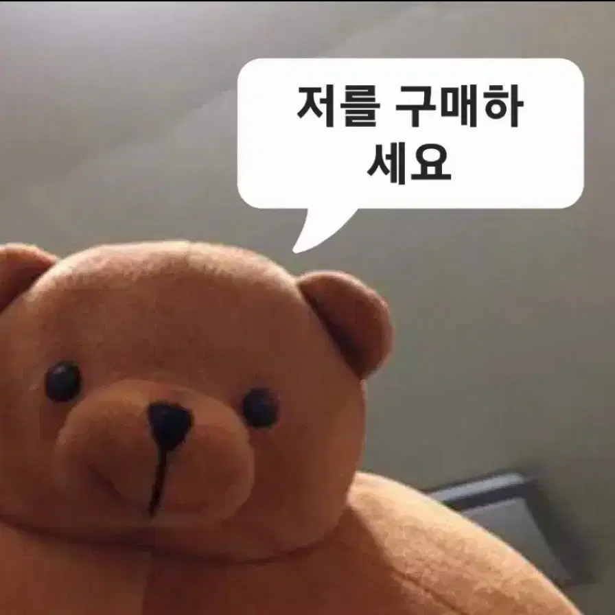 곰동석 소두곰 필로우 47센치 인형 굿즈