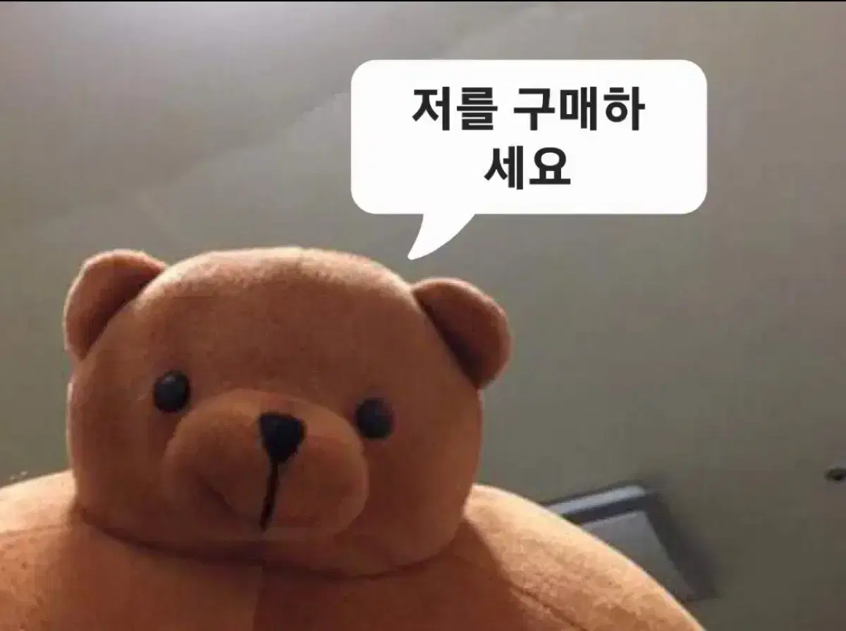 곰동석 소두곰 필로우 47센치 인형 굿즈